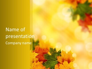 Light Nature Closeup PowerPoint Template