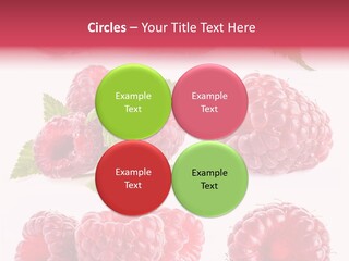 Garden Food Health PowerPoint Template