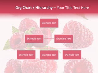 Garden Food Health PowerPoint Template