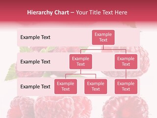 Garden Food Health PowerPoint Template