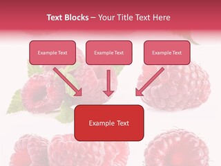 Garden Food Health PowerPoint Template