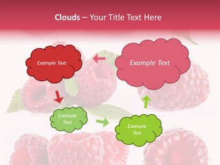 Garden Food Health PowerPoint Template