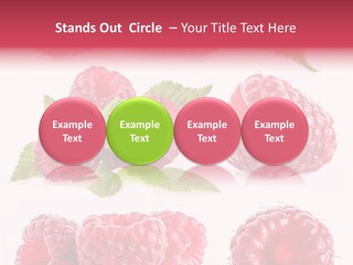 Garden Food Health PowerPoint Template