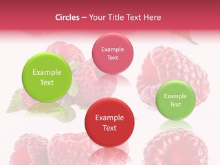 Garden Food Health PowerPoint Template