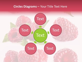 Garden Food Health PowerPoint Template