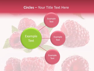 Garden Food Health PowerPoint Template
