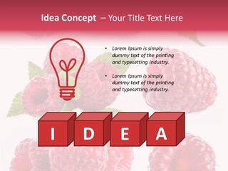 Garden Food Health PowerPoint Template