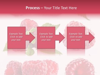 Garden Food Health PowerPoint Template