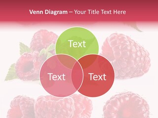 Garden Food Health PowerPoint Template