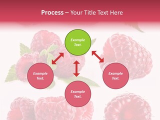 Garden Food Health PowerPoint Template