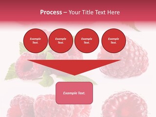 Garden Food Health PowerPoint Template