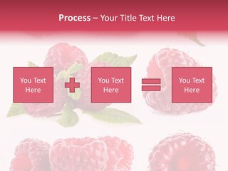 Garden Food Health PowerPoint Template
