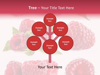 Garden Food Health PowerPoint Template