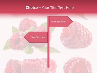 Garden Food Health PowerPoint Template