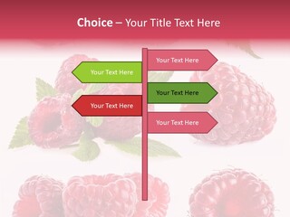 Garden Food Health PowerPoint Template