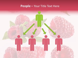 Garden Food Health PowerPoint Template