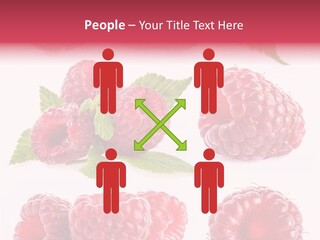 Garden Food Health PowerPoint Template