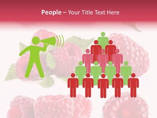 Garden Food Health PowerPoint Template