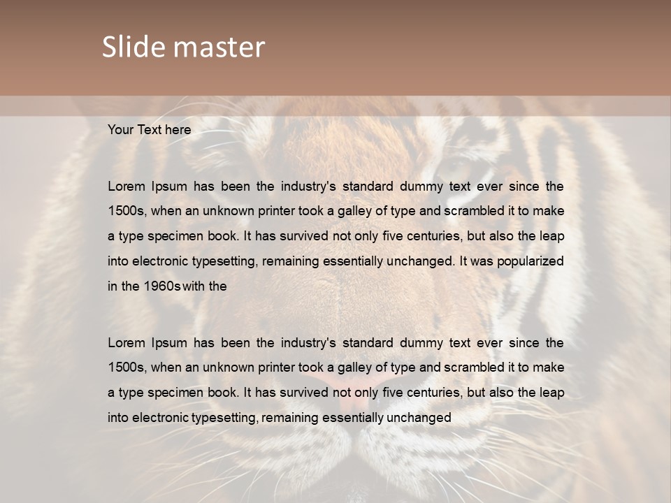Tiger Page Closeup Safari PowerPoint Template