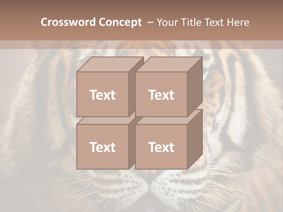 Tiger Page Closeup Safari PowerPoint Template