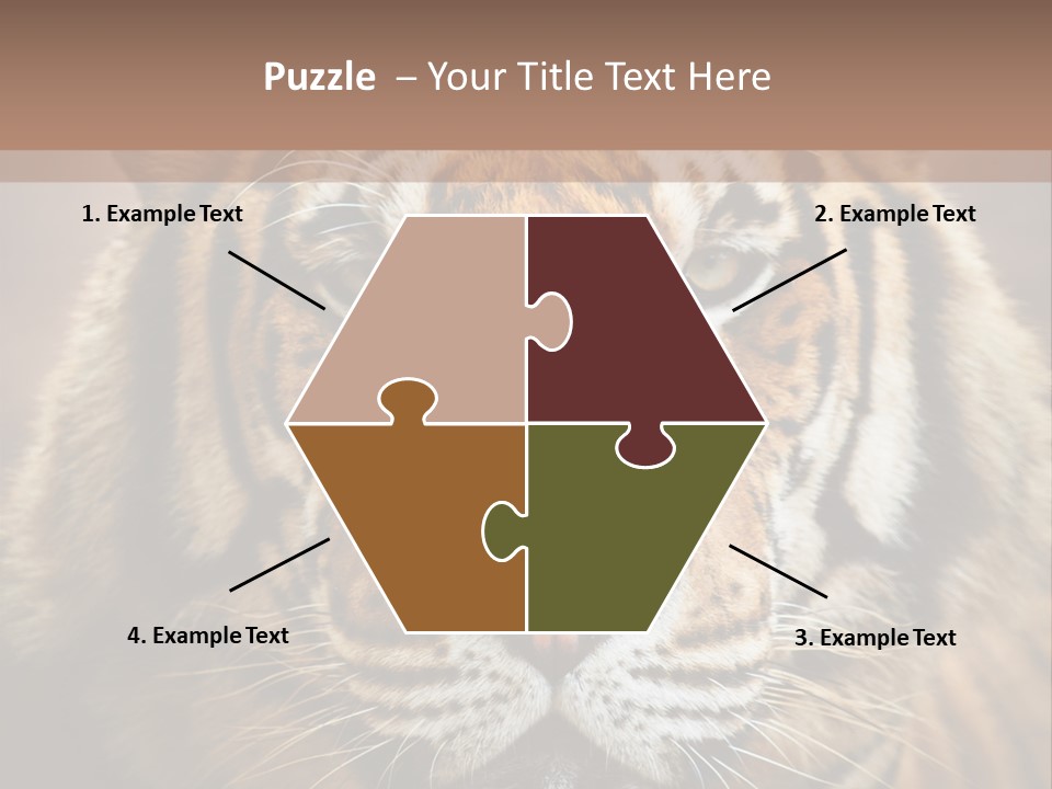Tiger Page Closeup Safari PowerPoint Template