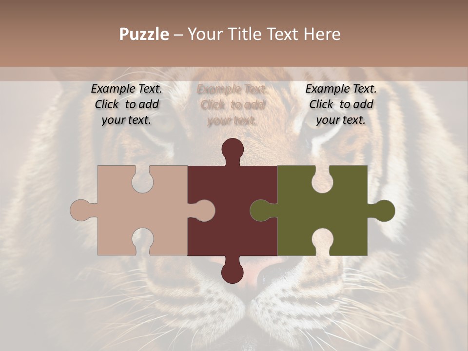 Tiger Page Closeup Safari PowerPoint Template