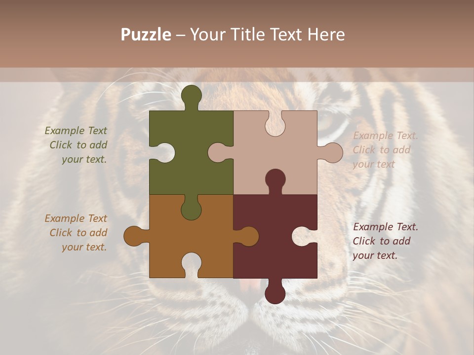 Tiger Page Closeup Safari PowerPoint Template
