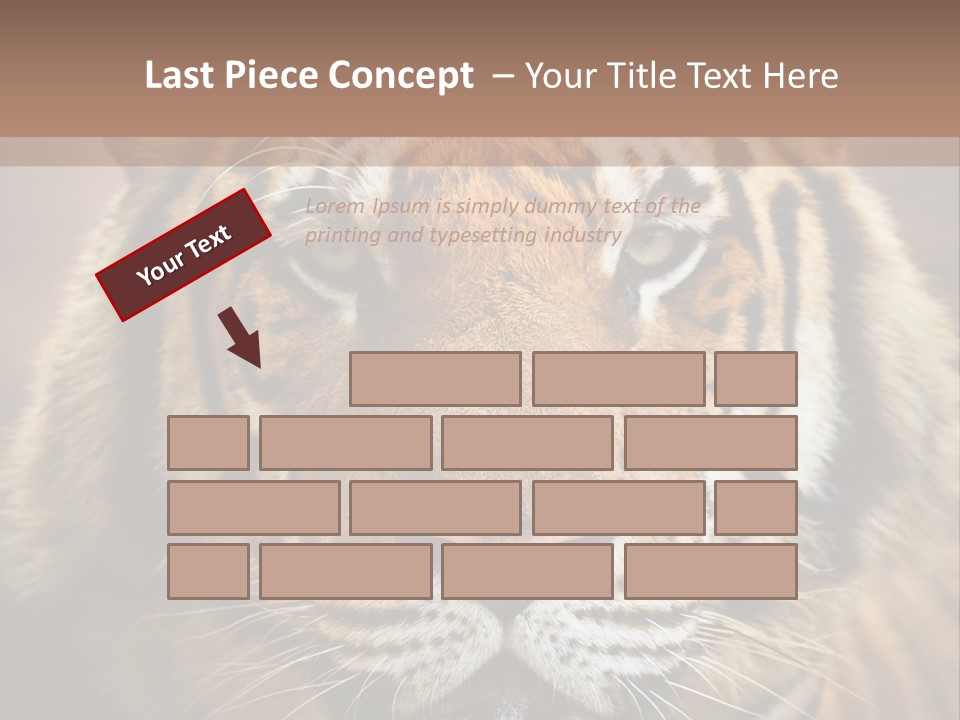Tiger Page Closeup Safari PowerPoint Template