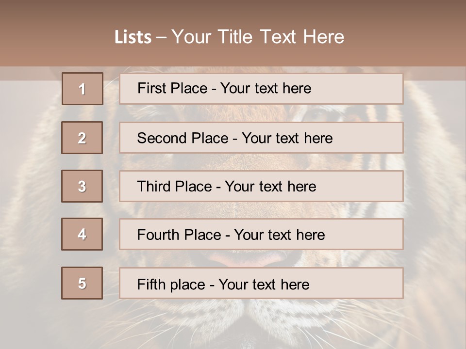 Tiger Page Closeup Safari PowerPoint Template
