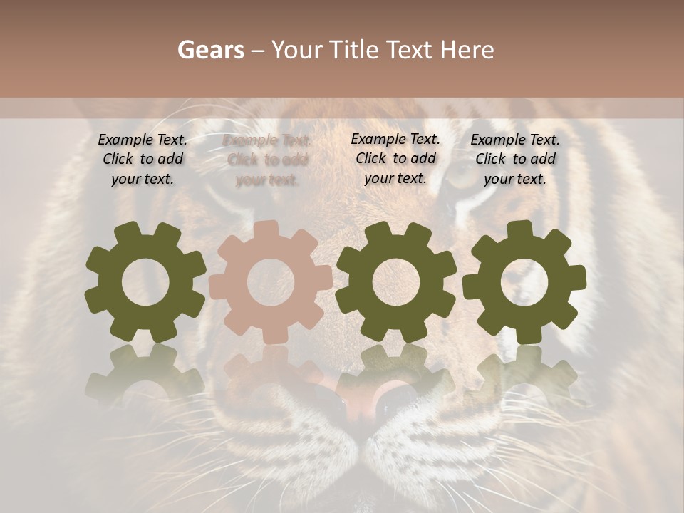 Tiger Page Closeup Safari PowerPoint Template