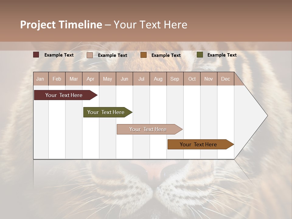Tiger Page Closeup Safari PowerPoint Template