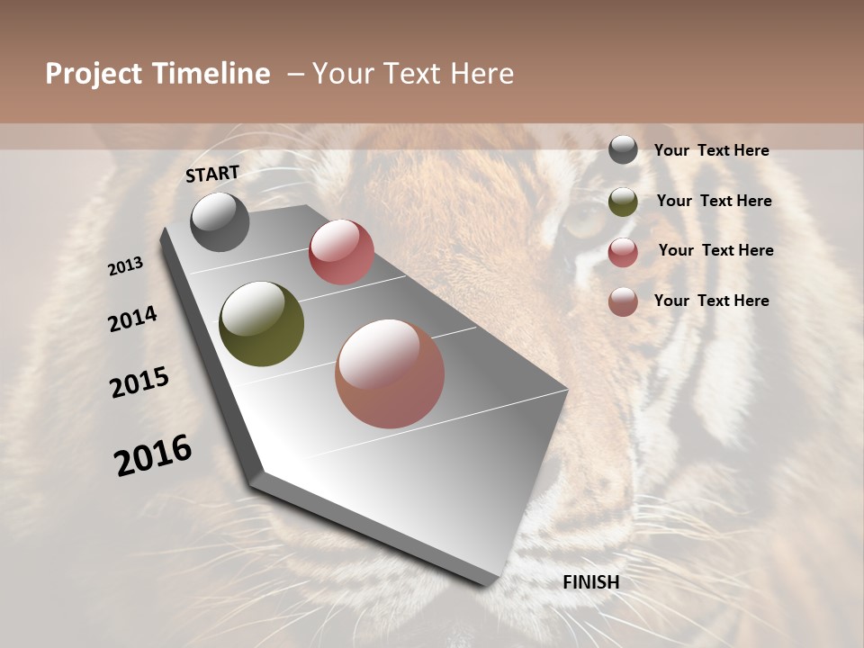 Tiger Page Closeup Safari PowerPoint Template