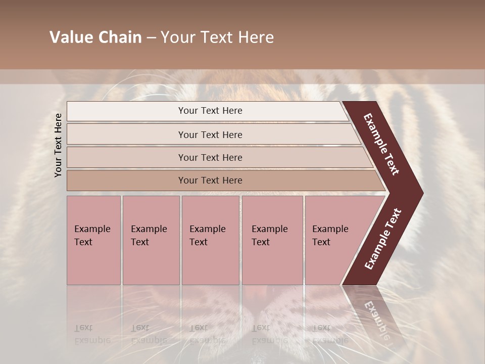 Tiger Page Closeup Safari PowerPoint Template