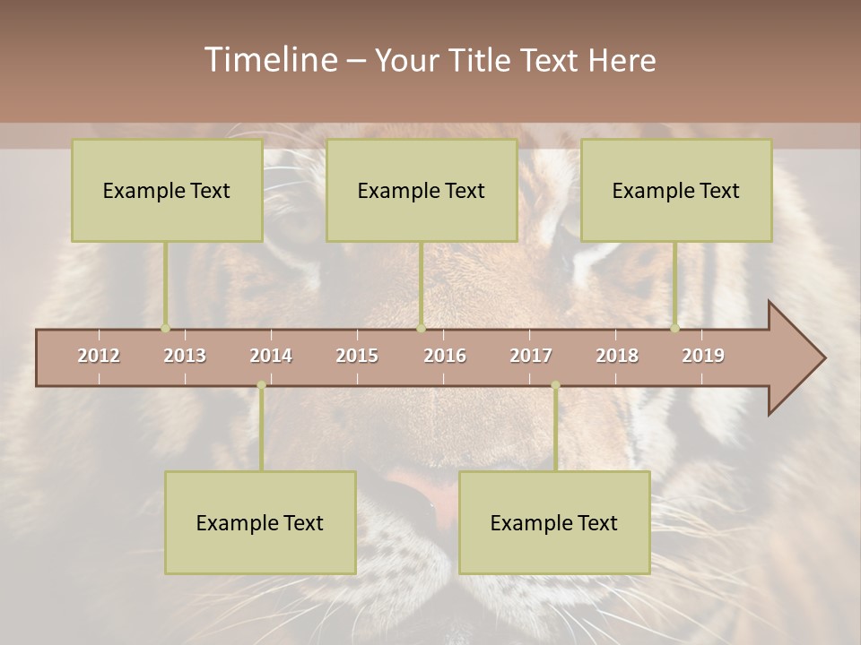 Tiger Page Closeup Safari PowerPoint Template