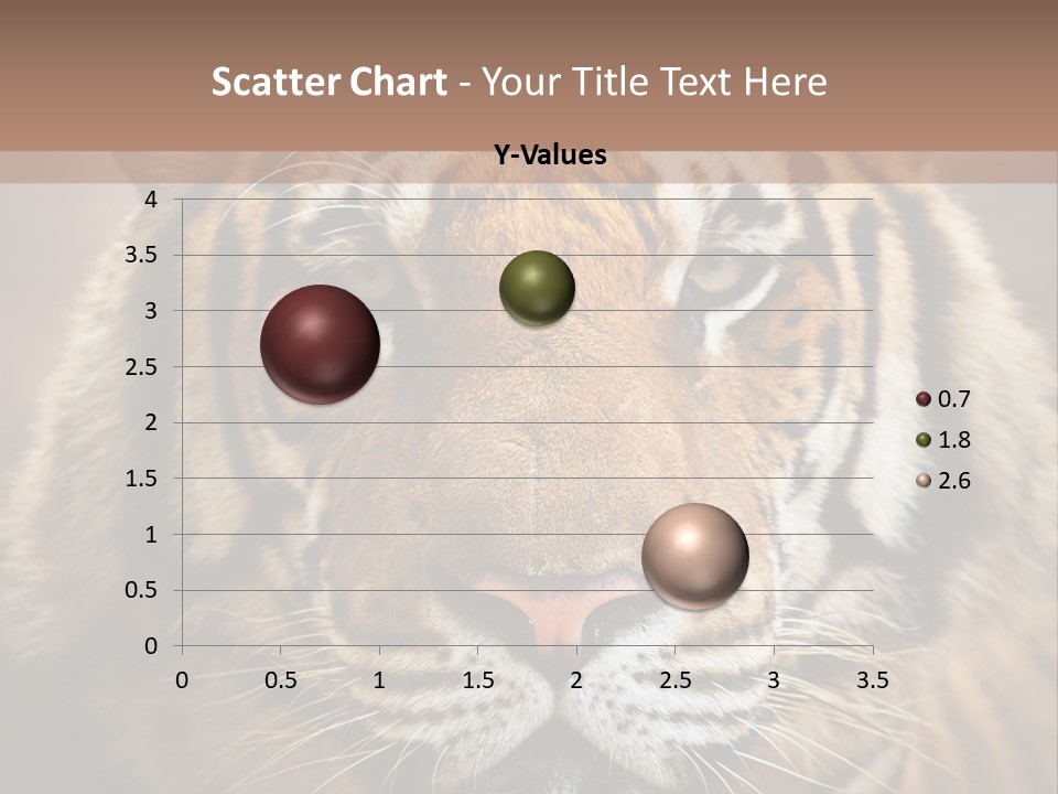 Tiger Page Closeup Safari PowerPoint Template