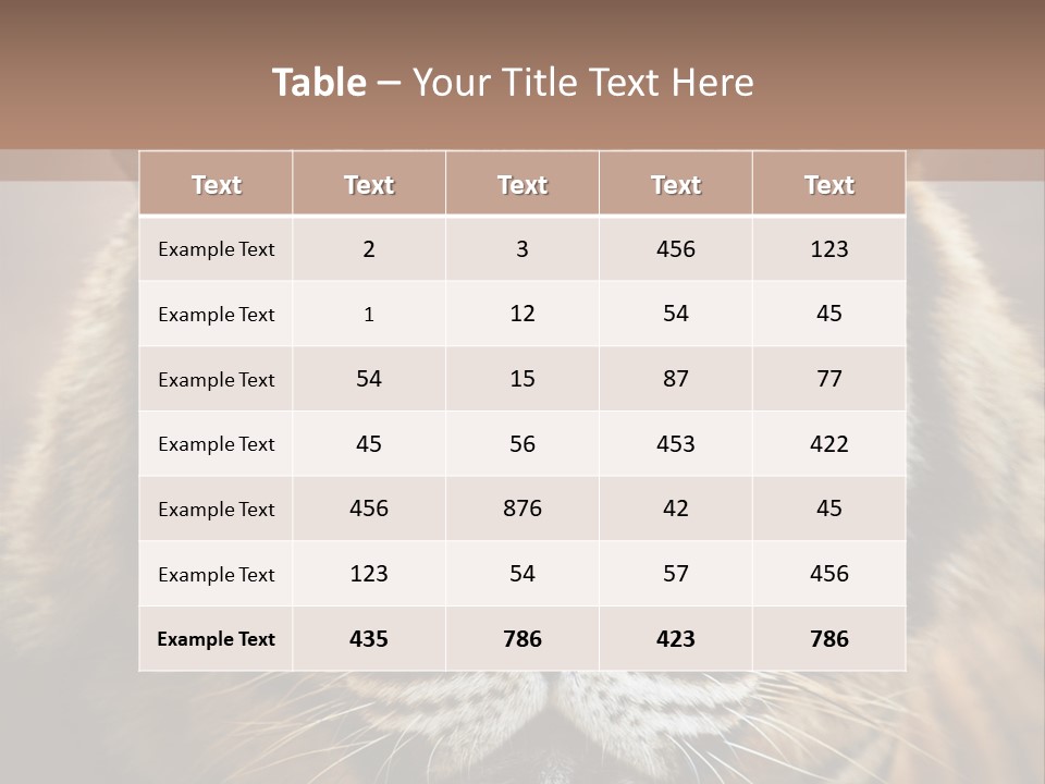 Tiger Page Closeup Safari PowerPoint Template