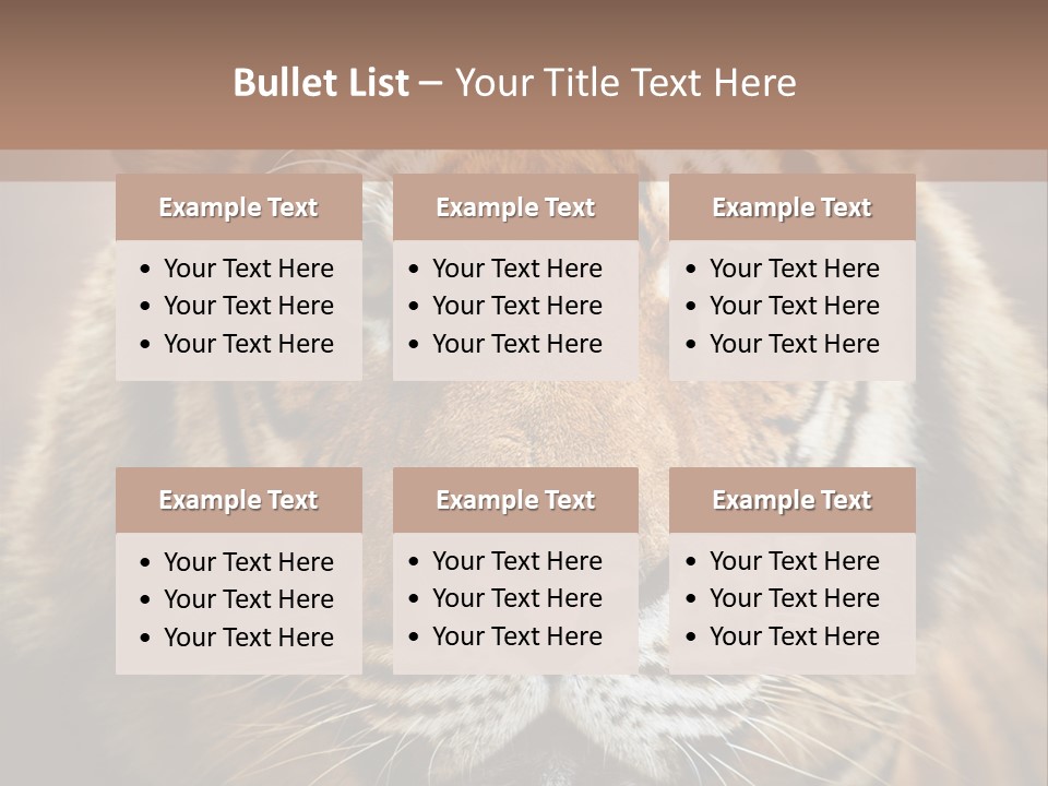 Tiger Page Closeup Safari PowerPoint Template