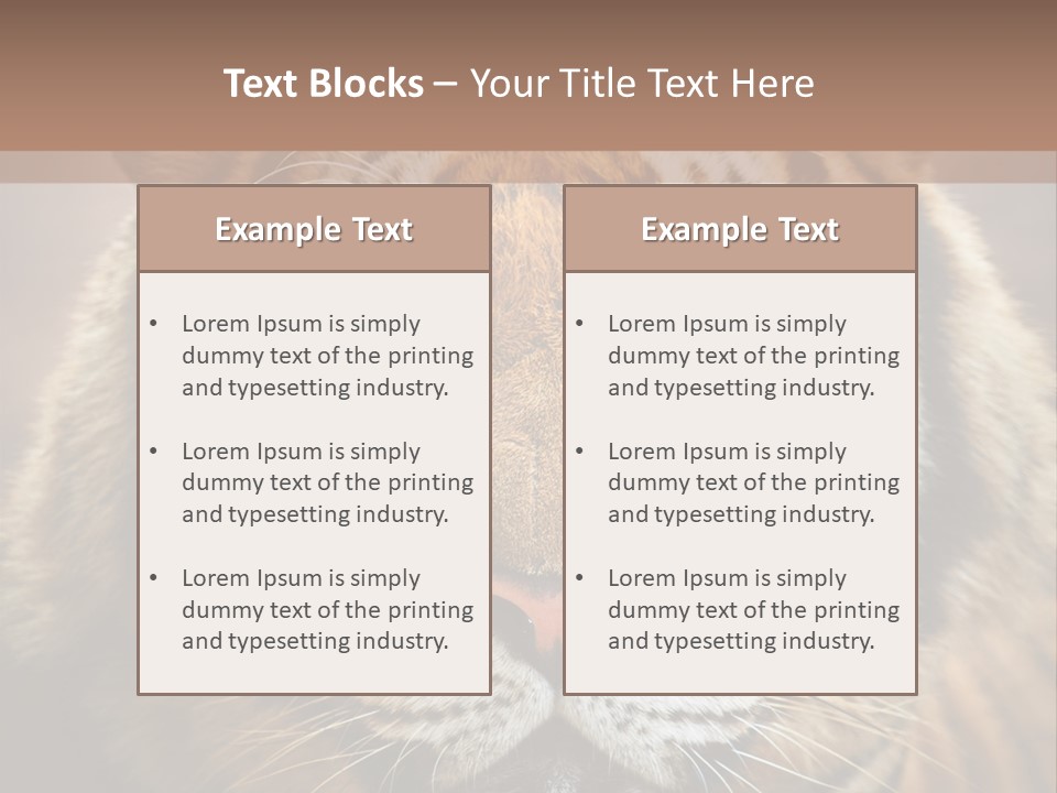 Tiger Page Closeup Safari PowerPoint Template