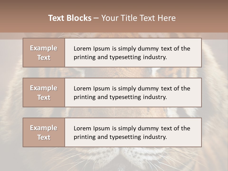 Tiger Page Closeup Safari PowerPoint Template