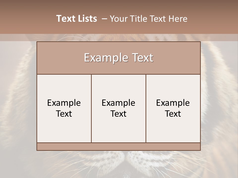 Tiger Page Closeup Safari PowerPoint Template