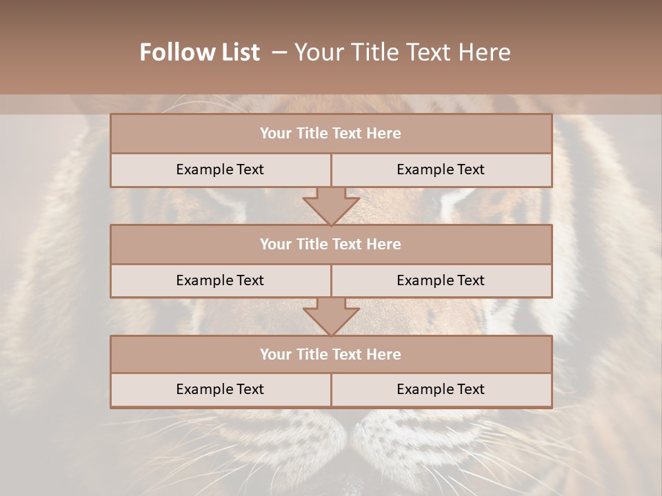 Tiger Page Closeup Safari PowerPoint Template