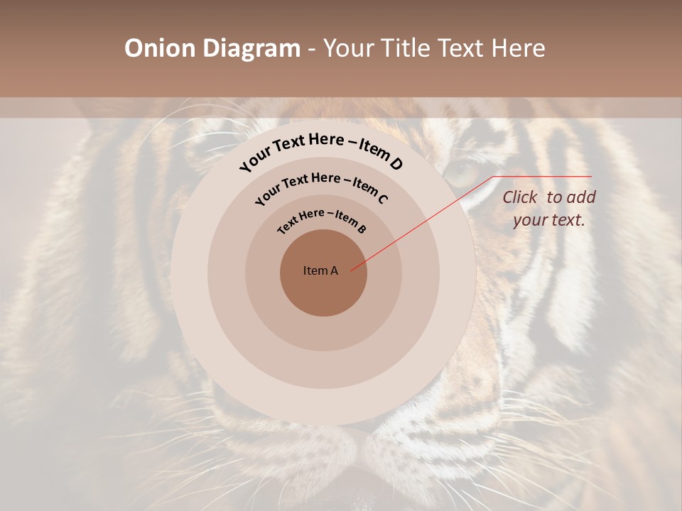 Tiger Page Closeup Safari PowerPoint Template