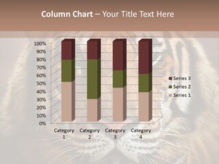 Tiger Page Closeup Safari PowerPoint Template
