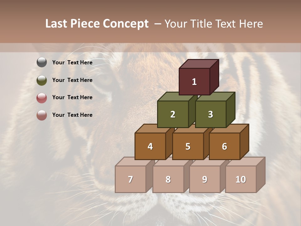 Tiger Page Closeup Safari PowerPoint Template