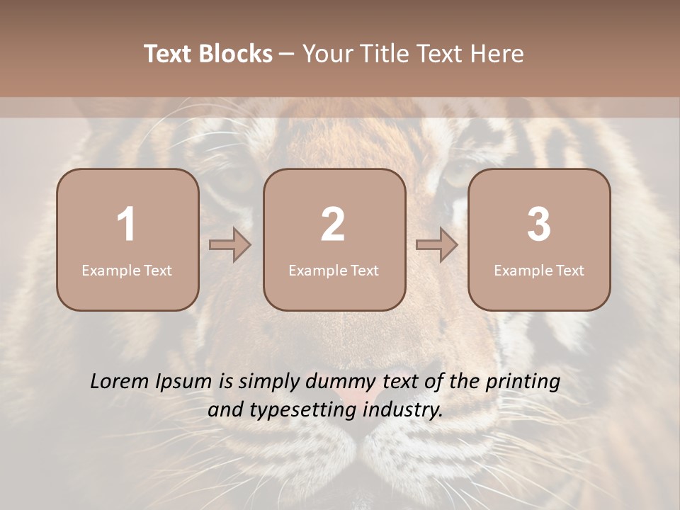 Tiger Page Closeup Safari PowerPoint Template