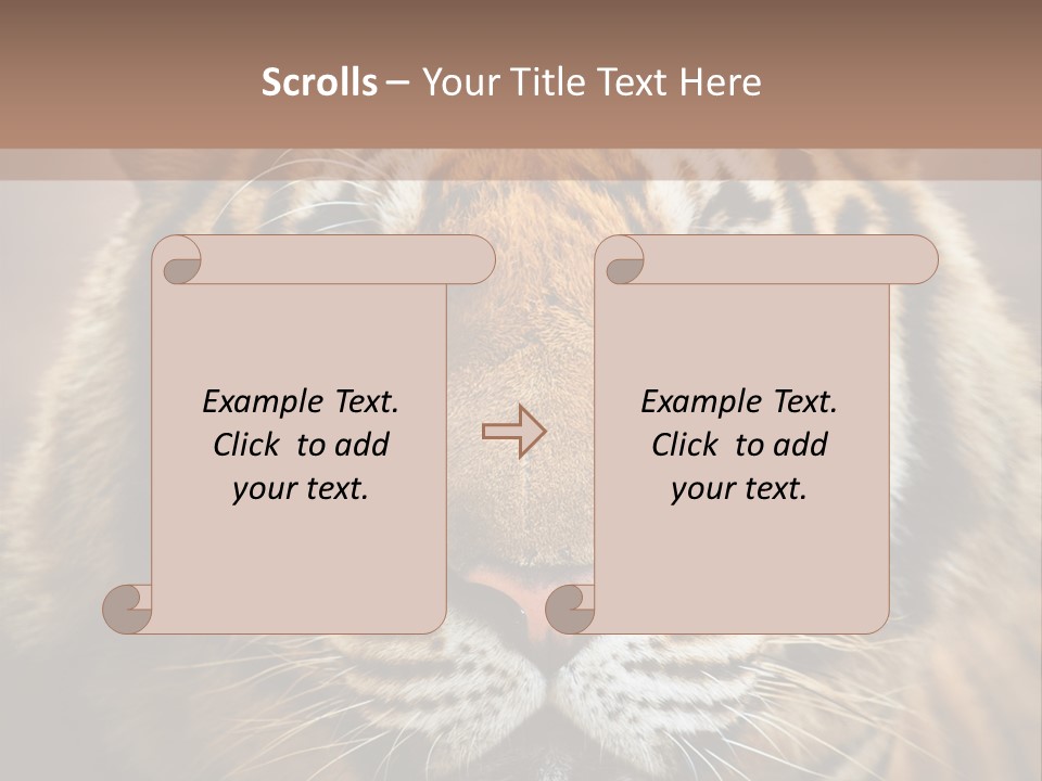 Tiger Page Closeup Safari PowerPoint Template