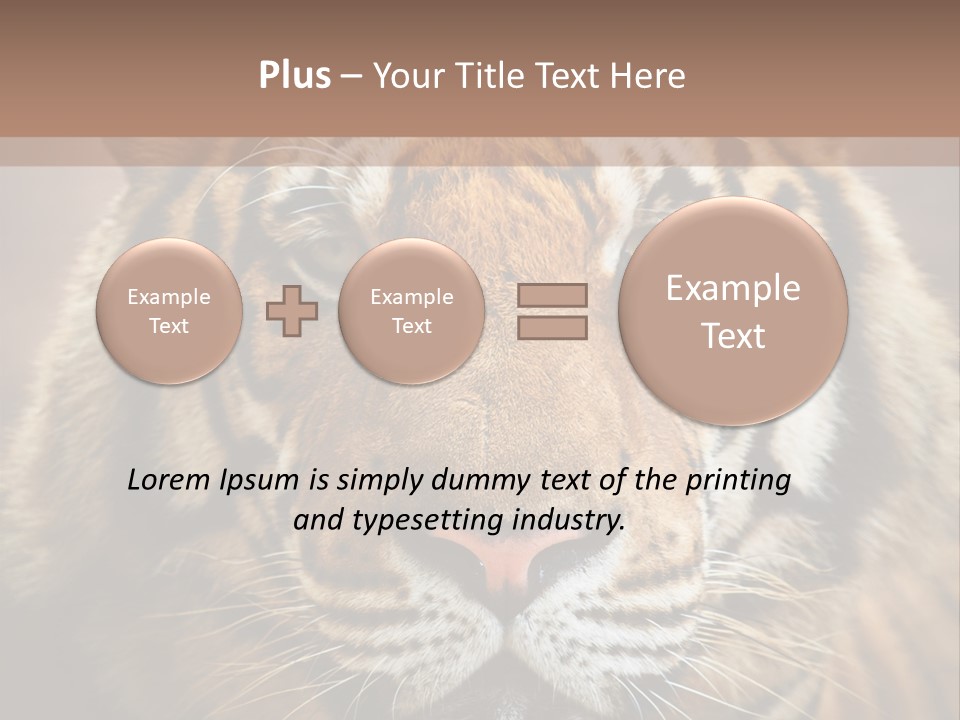 Tiger Page Closeup Safari PowerPoint Template