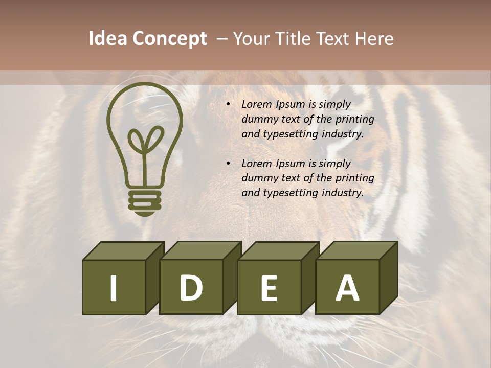 Tiger Page Closeup Safari PowerPoint Template