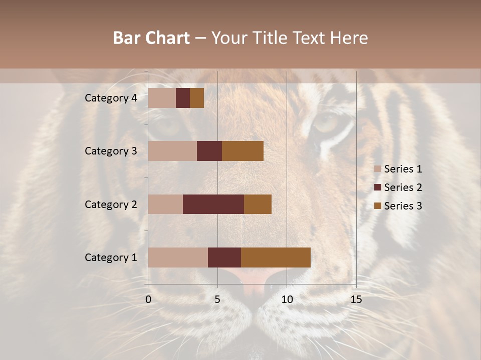 Tiger Page Closeup Safari PowerPoint Template