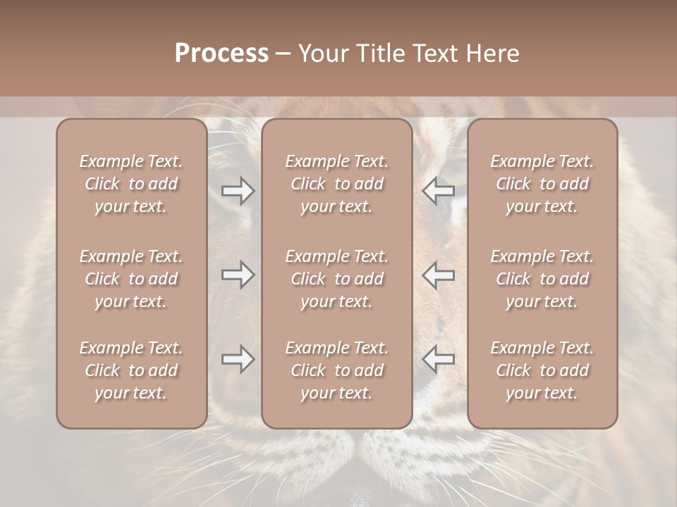 Tiger Page Closeup Safari PowerPoint Template